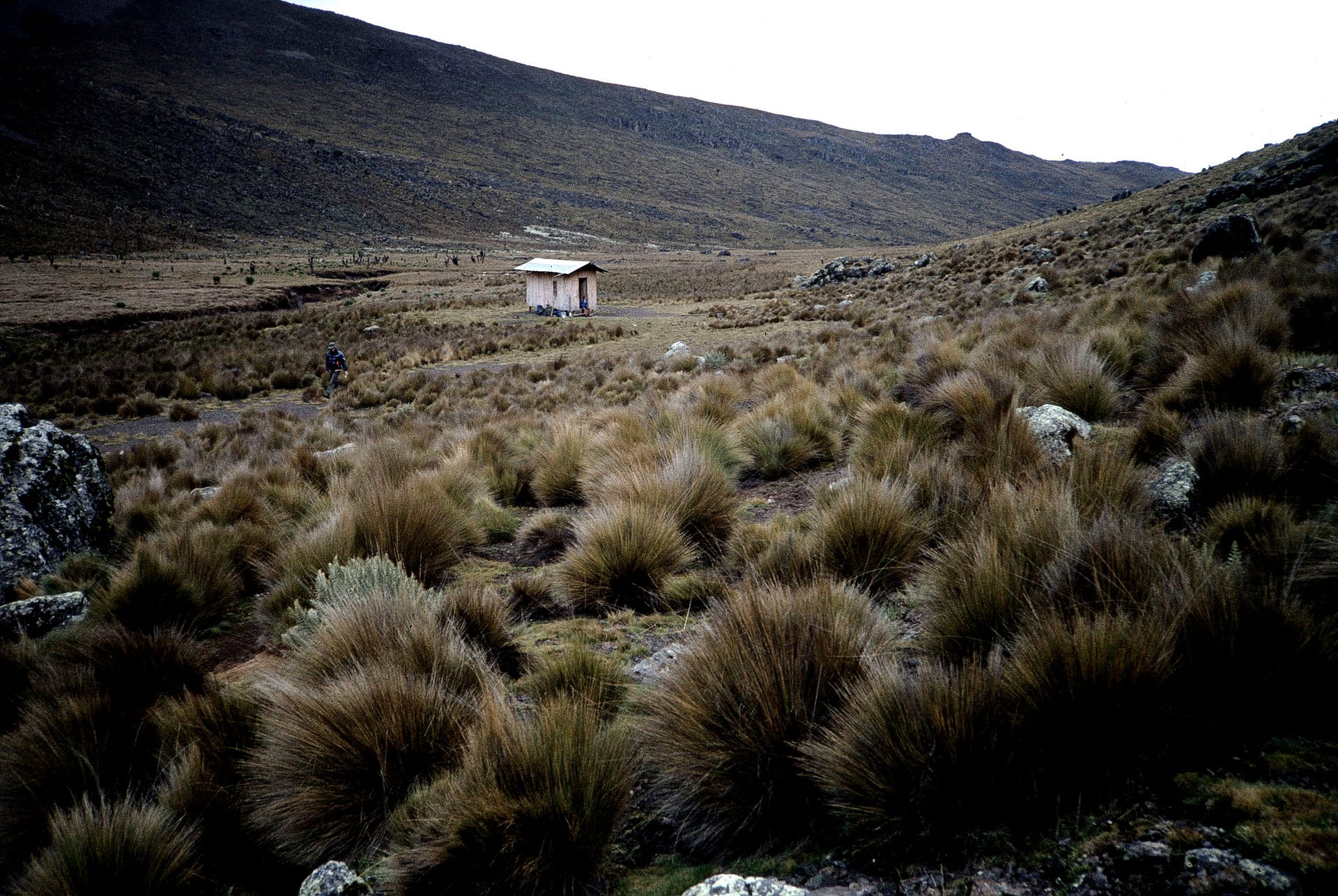 Liki North Hut